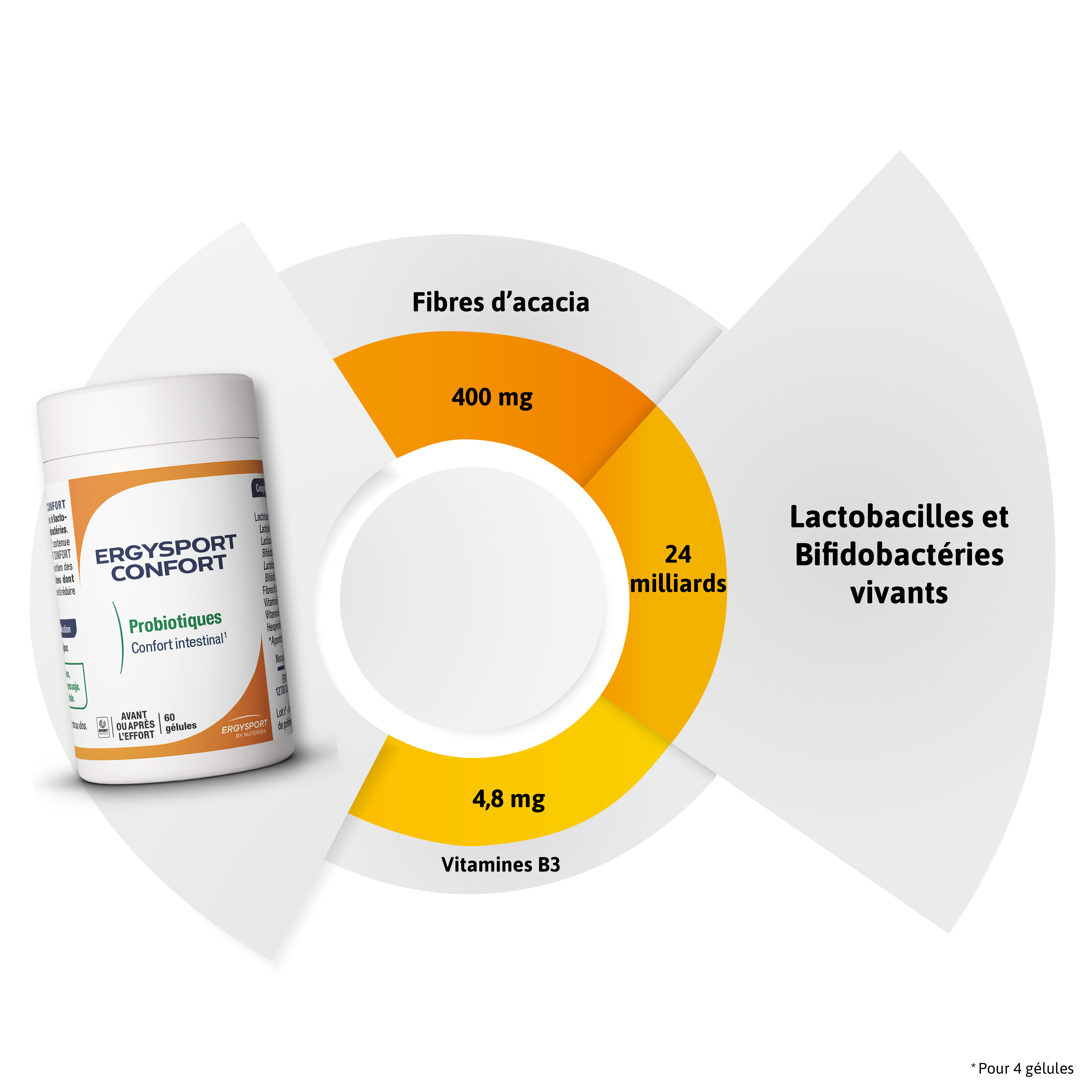 Composition ERGYSPORT CONFORT