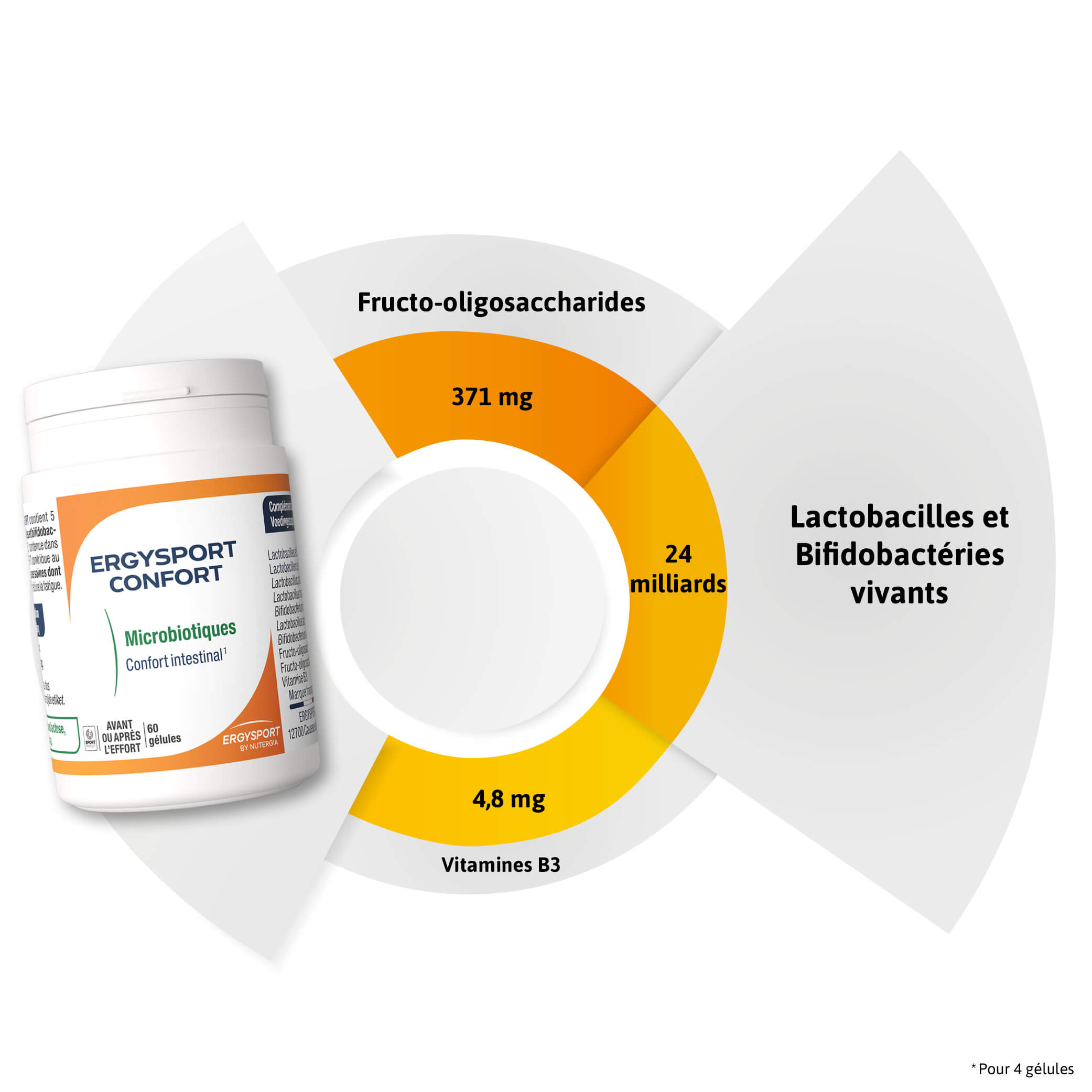 Composition ERGYSPORT CONFORT