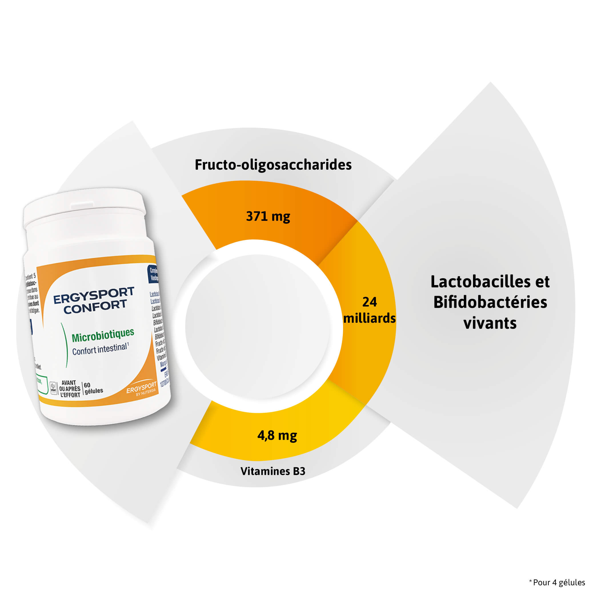 Composition ERGYSPORT CONFORT