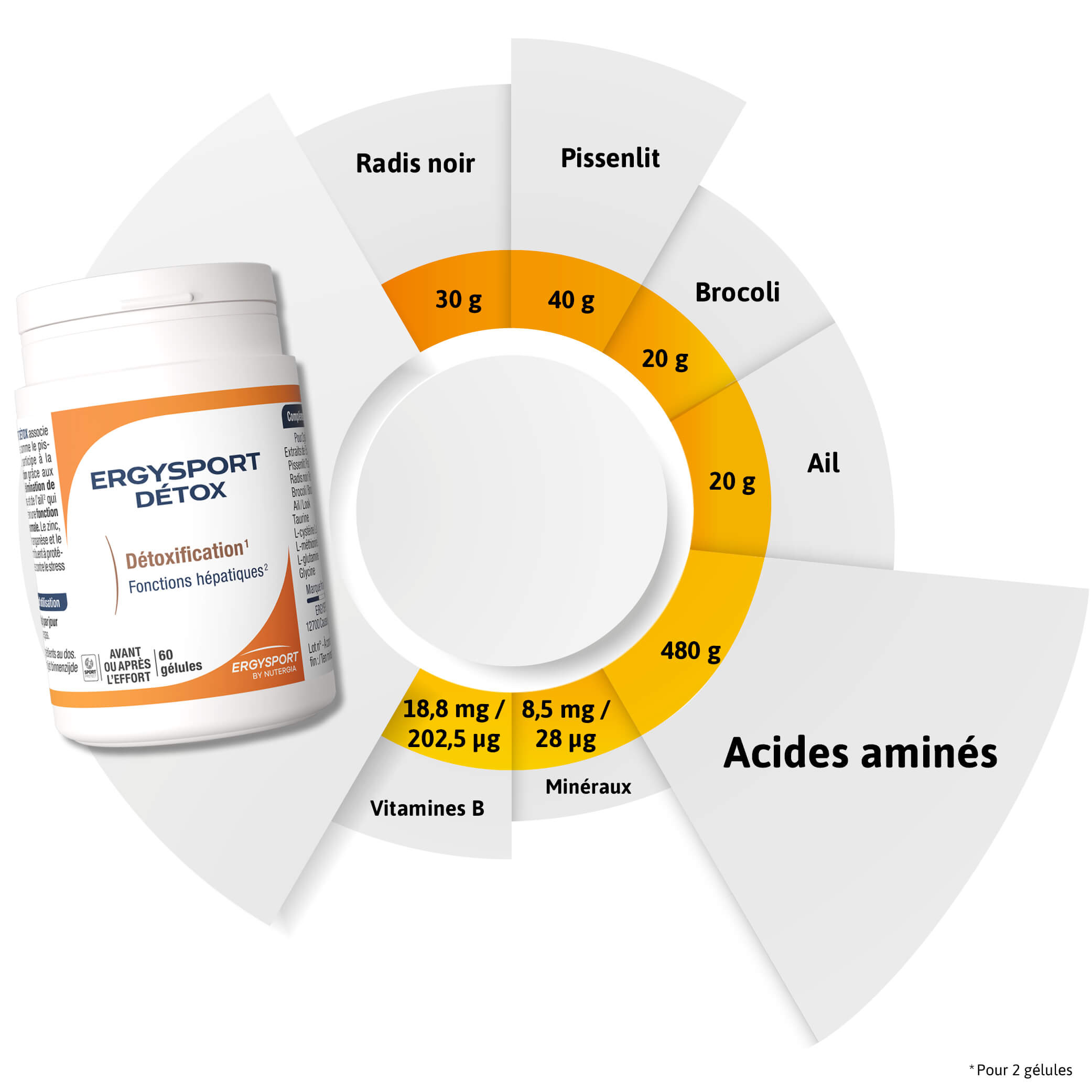 Composition ERGYSPORT DÉTOX
