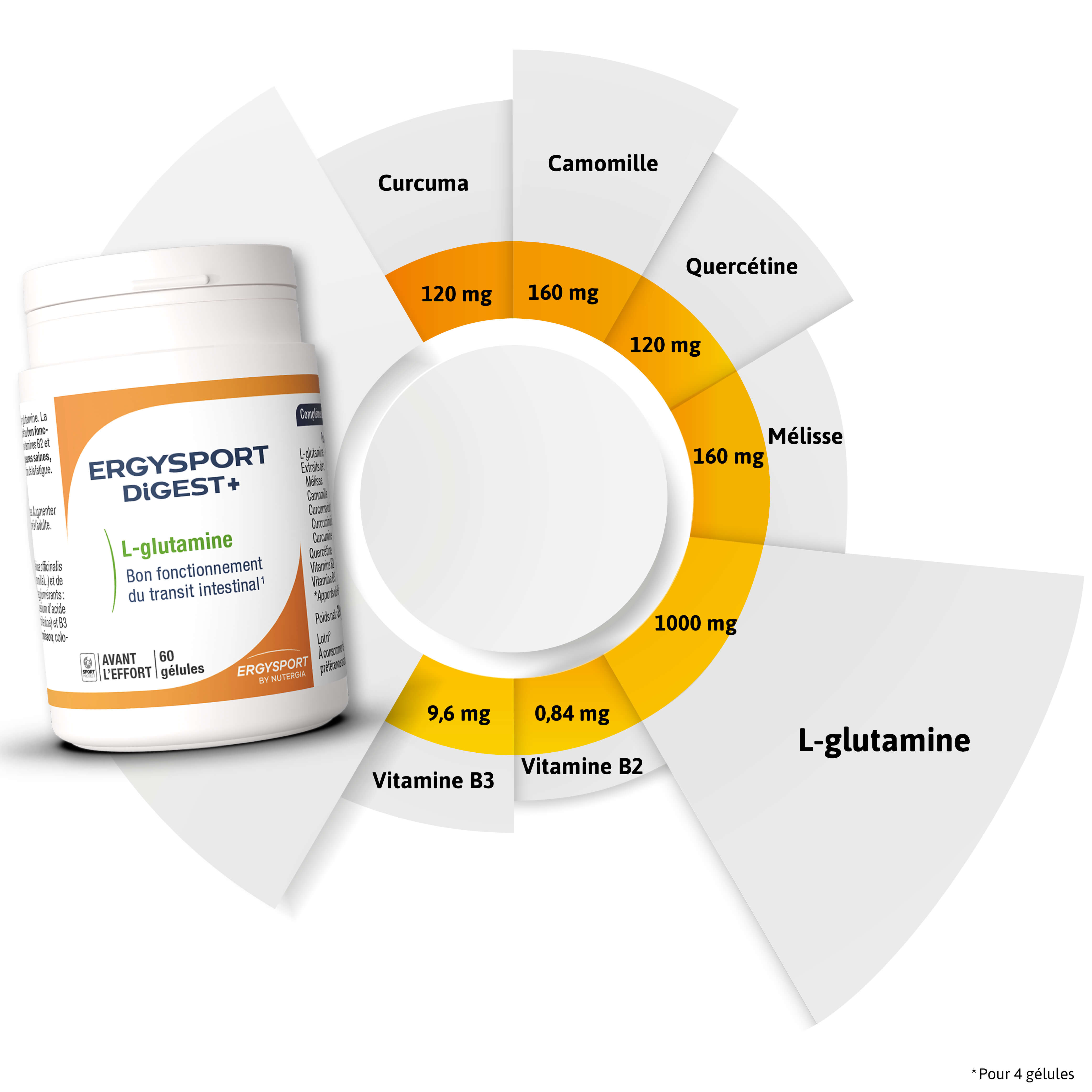 Composition ERGYSPORT DIGEST+
