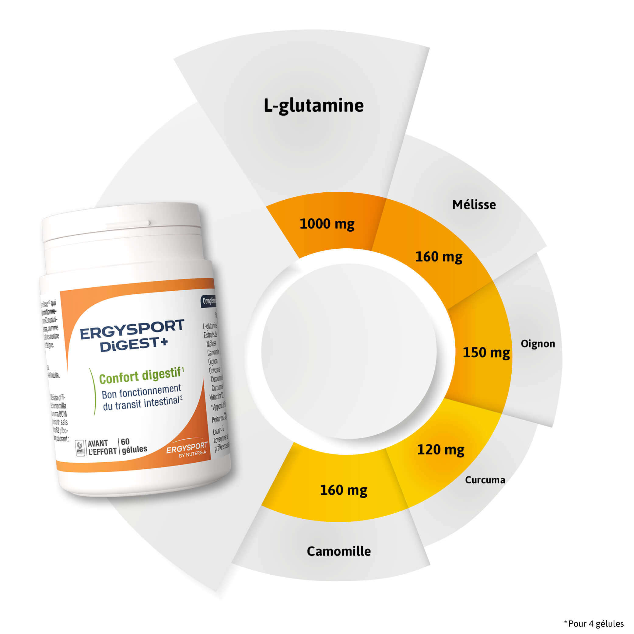 Composition ERGYSPORT DIGEST+
