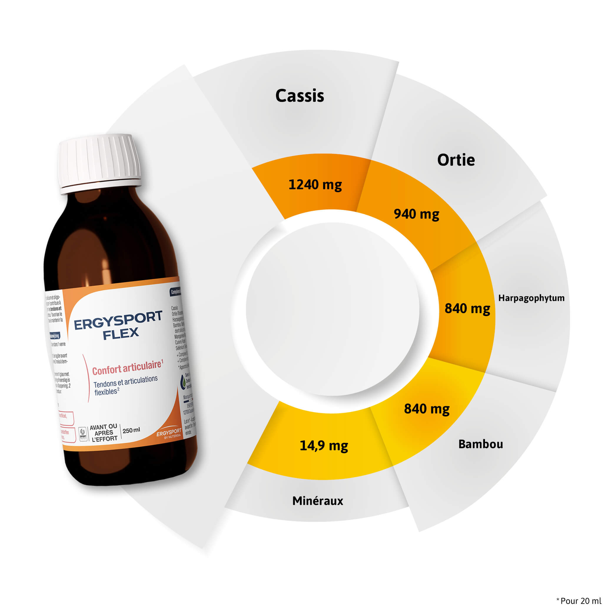 Composition ERGYSPORT FLEX