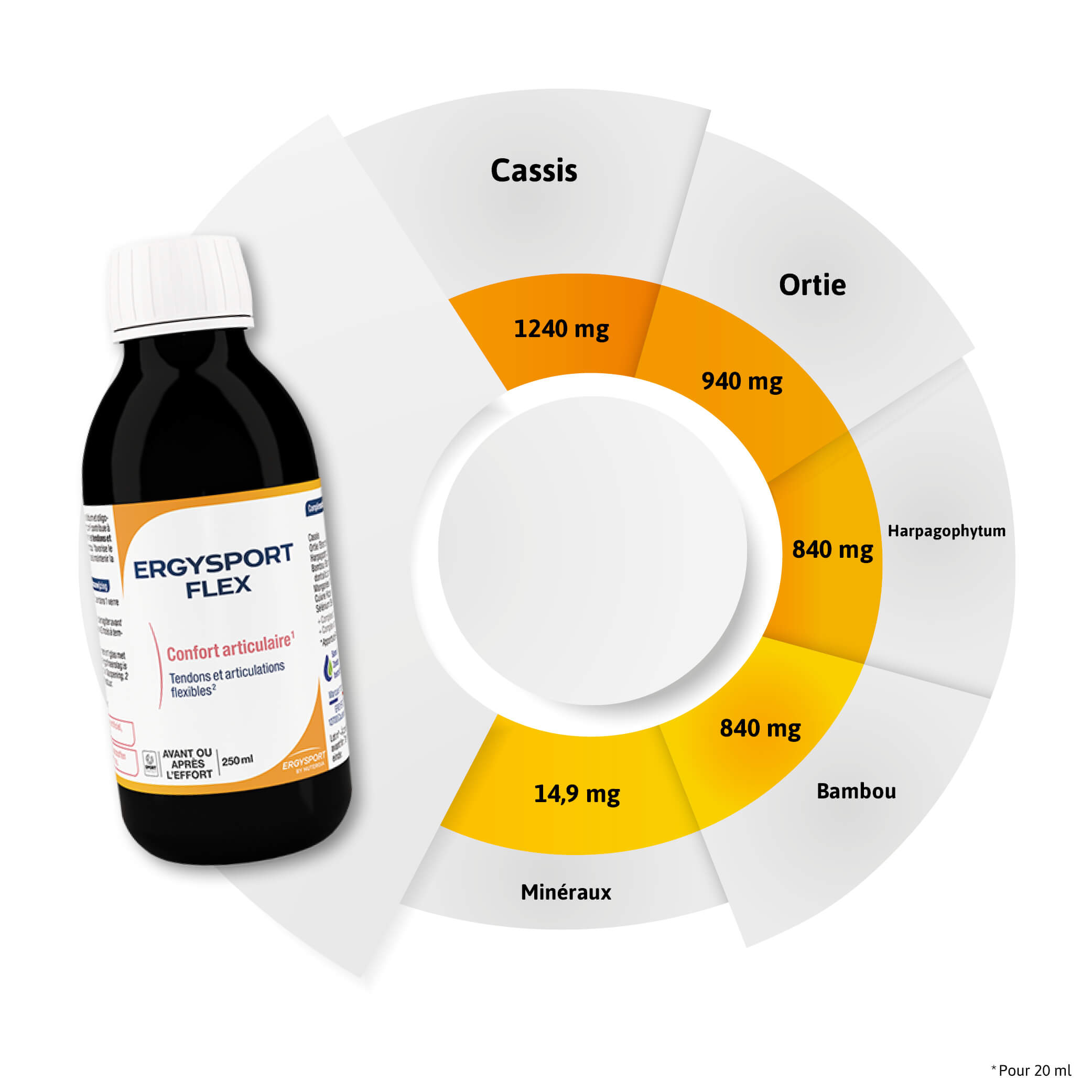 Composition ERGYSPORT FLEX