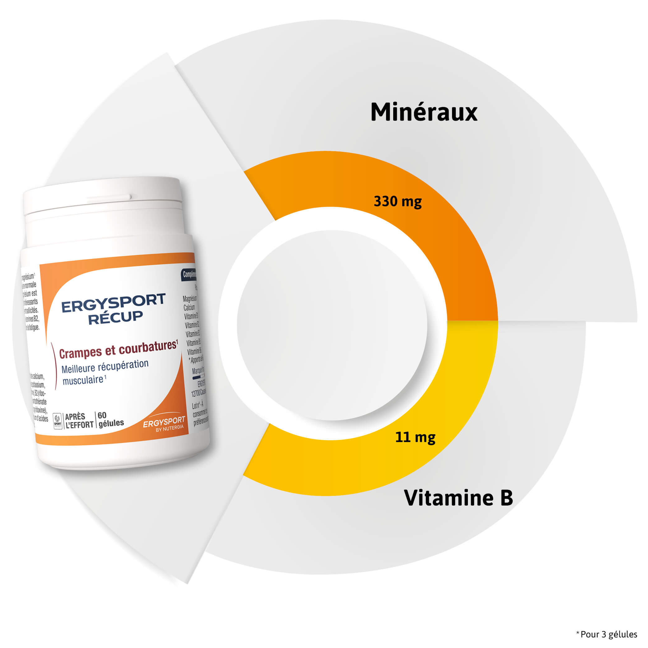 Composition ERGYSPORT RÉCUP