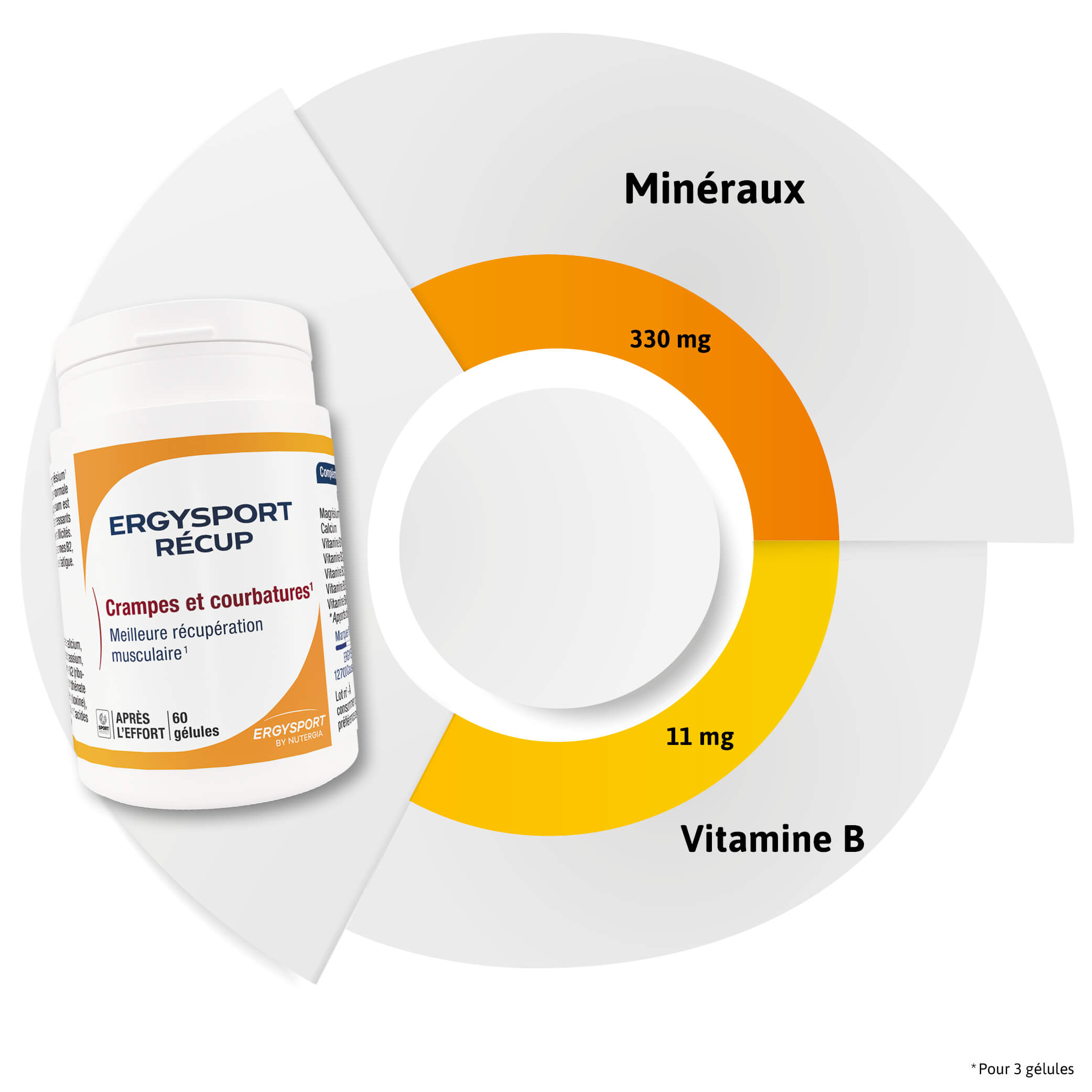 Composition ERGYSPORT RÉCUP